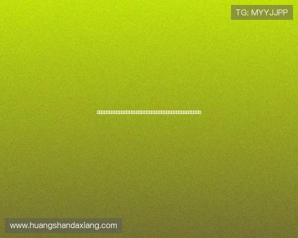 中国足球竞彩网首页详细介绍各大联赛赛程安排和球队最新战绩信息满足足球爱好者的多样需求